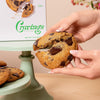 The Perfect Chocolate Chunk Cookie Mix- 3 Pack